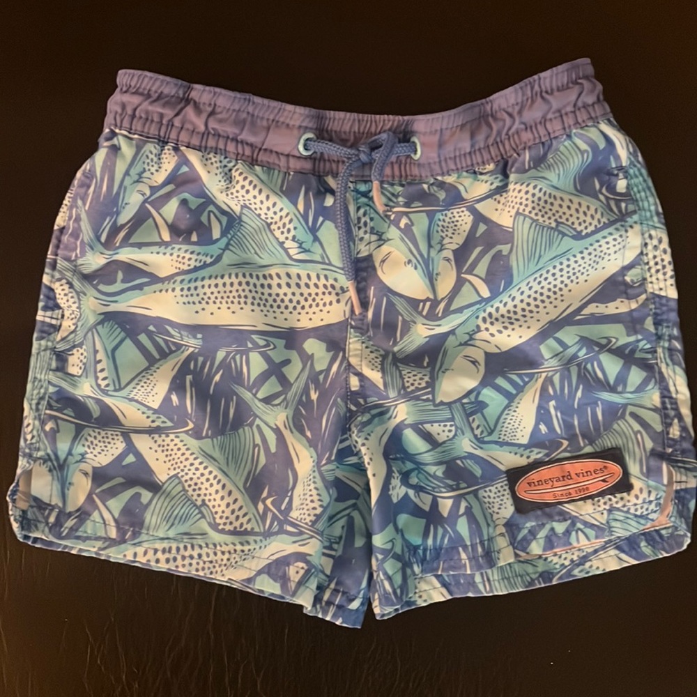 2T boys swim trunks